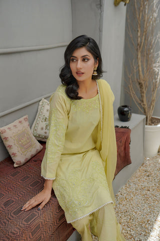 Light Pistachio Lawn Suit