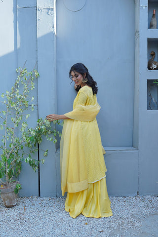 Summer Yellow Cotton Net Frock