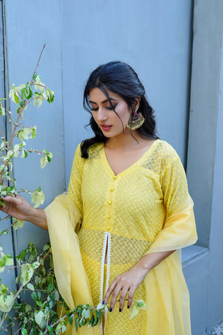 Summer Yellow Cotton Net Frock