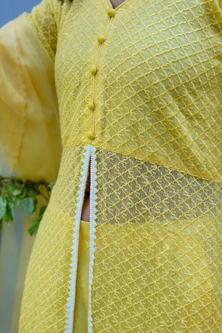 Summer Yellow Cotton Net Frock