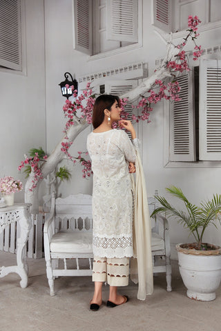 Chicken Kari Embroidered Suit