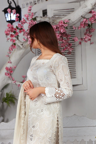 Chicken Kari Embroidered Suit